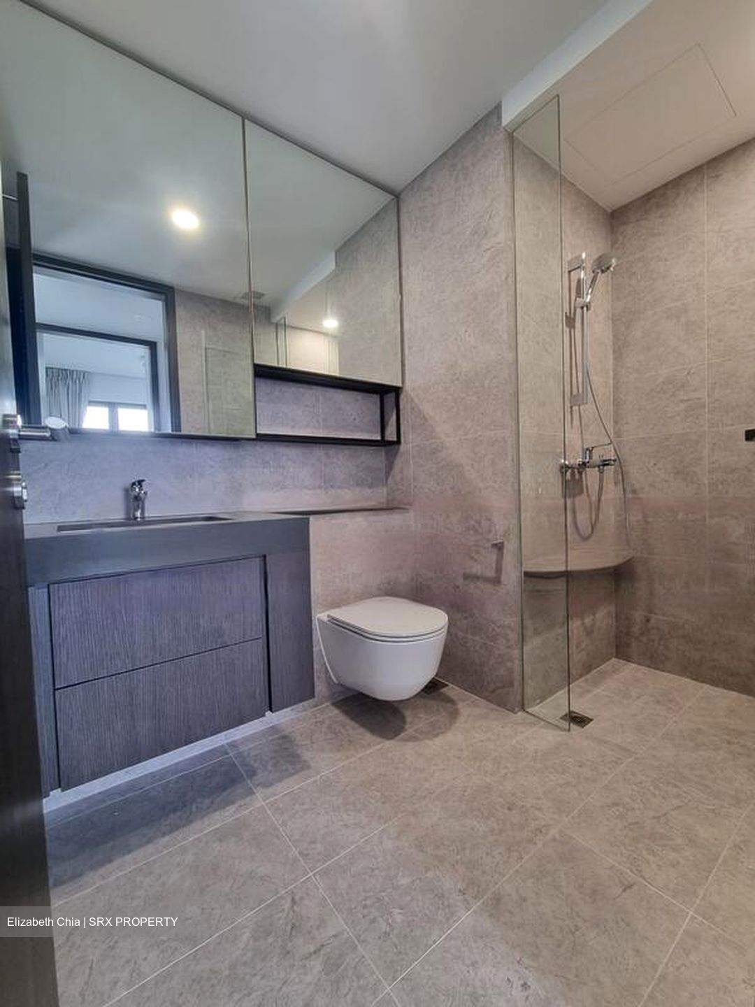 Avenue South Residence (D3), Apartment #464289811